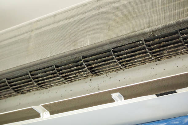 Best Air Duct Cleaning Near Me  in Beechwood, MI