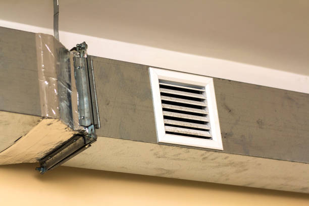 Best Air Duct Sanitizing Services  in Beechwood, MI